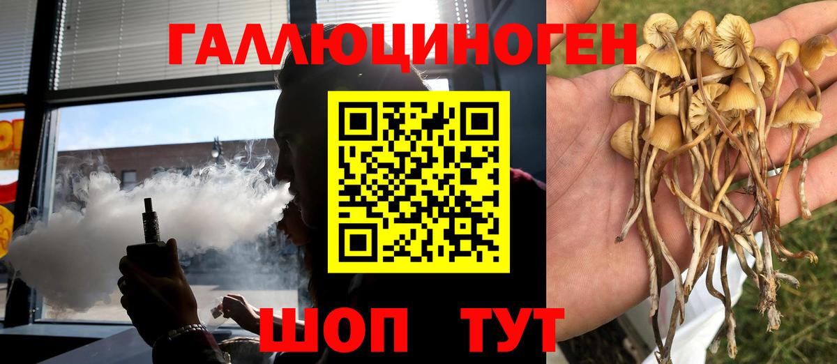Переславль-Залесский  Псилоцибиновые грибы Psilocybe  Вход с VPN  Псилоцибиновые грибы MAGIC MUSHROOMS 